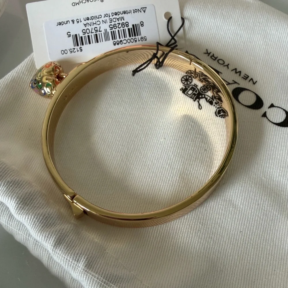 Coach Gold rainbow heart Necklace earrings and Bracelet jewelry Set